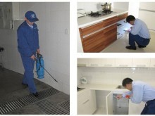 阜新彰武開(kāi)荒保潔公司 室內(nèi)環(huán)境檢測(cè)與治理的全面守護(hù)